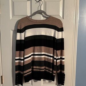 The Limited Multicolor Striped Crew Neck Sweater